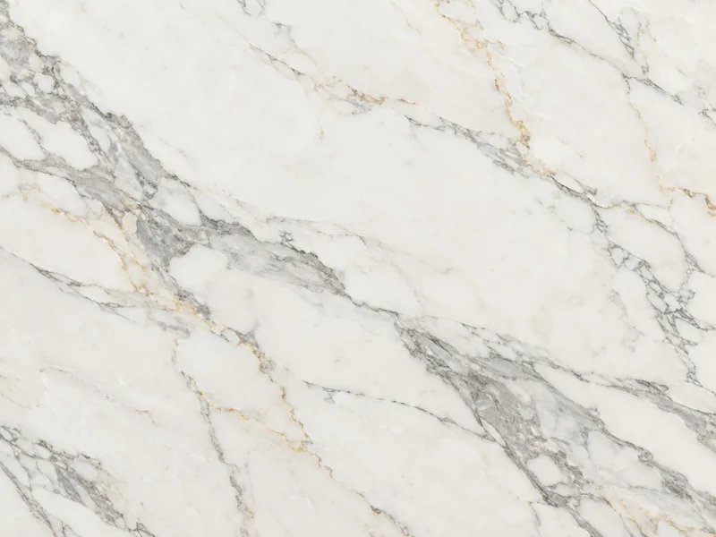 Calacatta White (鱼肚白) — AI-generated illustrative stone texture, not actual inventory